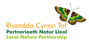 RCT Local nature partnership Butterfly logo