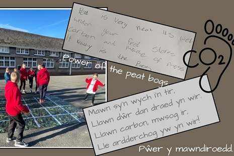 The Power of the Peat Bogs! How pupils turned their environmental education into a song