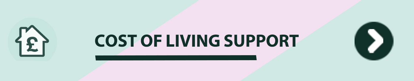 Support for eligible households with increased energy and living cost