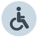Disabled-bus-pass