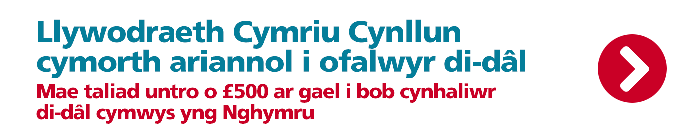 Unpaid Carer Banner Welsh